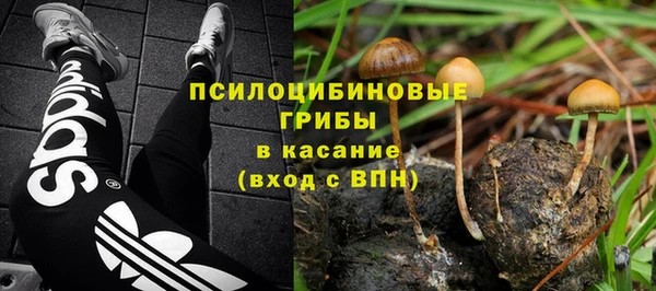 амф Арсеньев