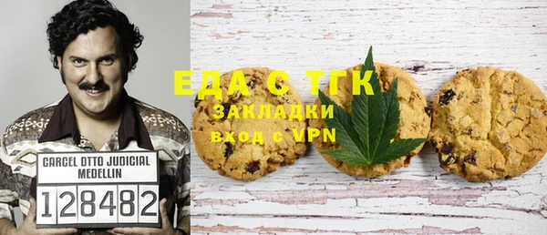 стаф Аркадак