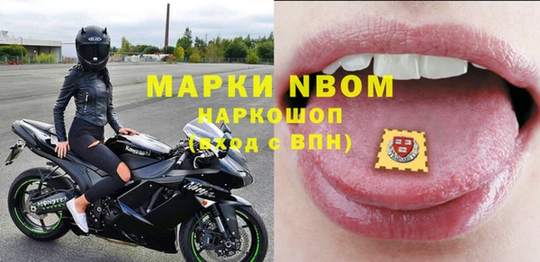 стаф Аркадак