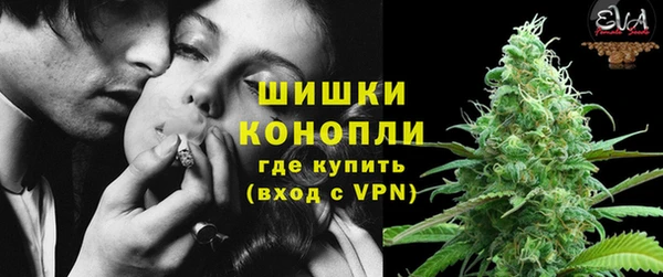 амф Арсеньев