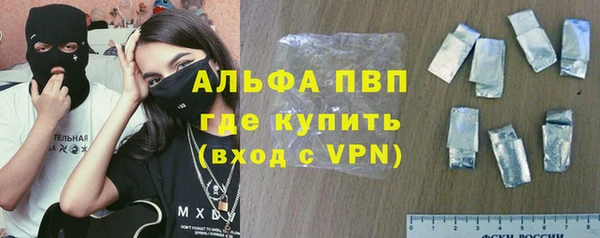 стаф Аркадак