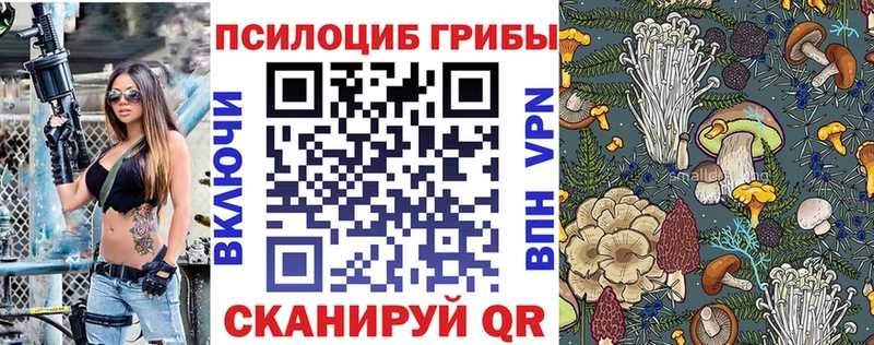 гидра ссылка  Лесосибирск  Галлюциногенные грибы Psilocybine cubensis 